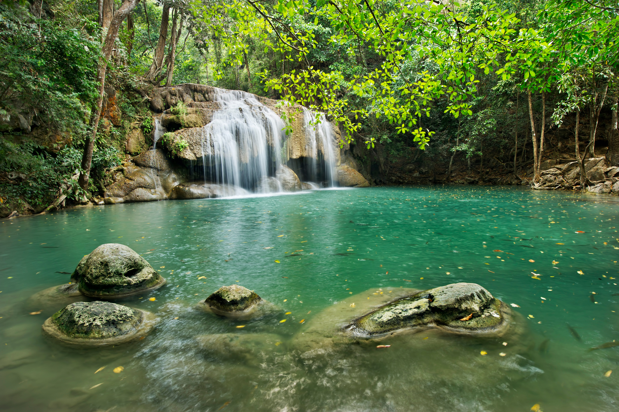 Waterfall in  Deep Forest on Mountain
